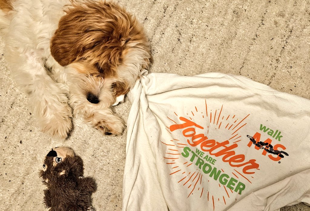 MelPlummer's tweet photo. #WalkMS Seattle is just 16 days away! 

I hope to raise $5000 to make a difference for the nearly 1 million ppl who live with MS in the US (including my mom &amp; many friends) - every dollar counts. Please contribute, walk with us on 4/23, or both! 
https://t.co/w1QVzvYZ4q https://t.co/b26dRPGXTx