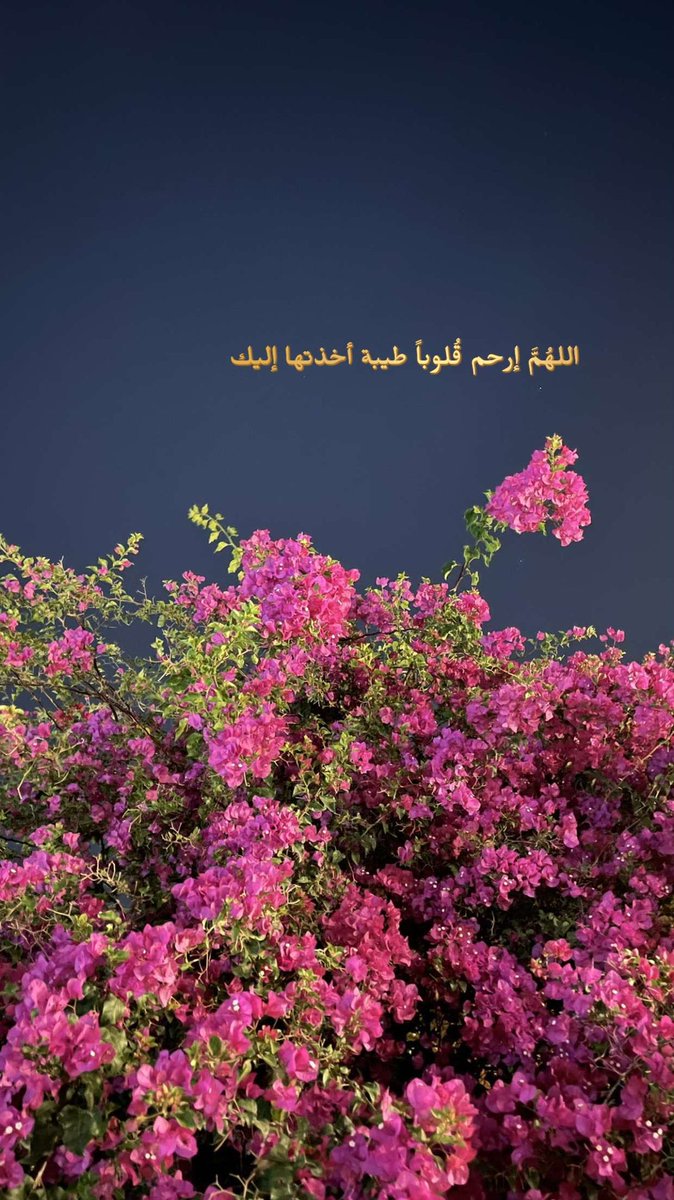 om_Saud29's tweet photo. https://t.co/FmtWWX8JEg