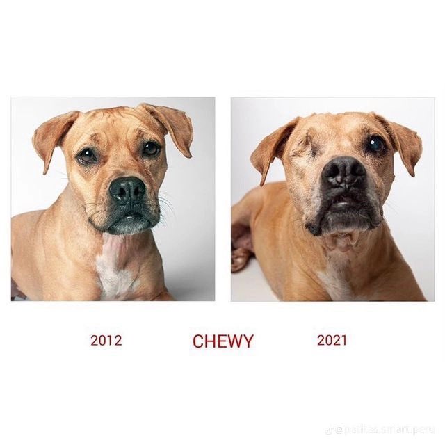 Choquei On Twitter Https T Co Ssvuj0temp Twitter