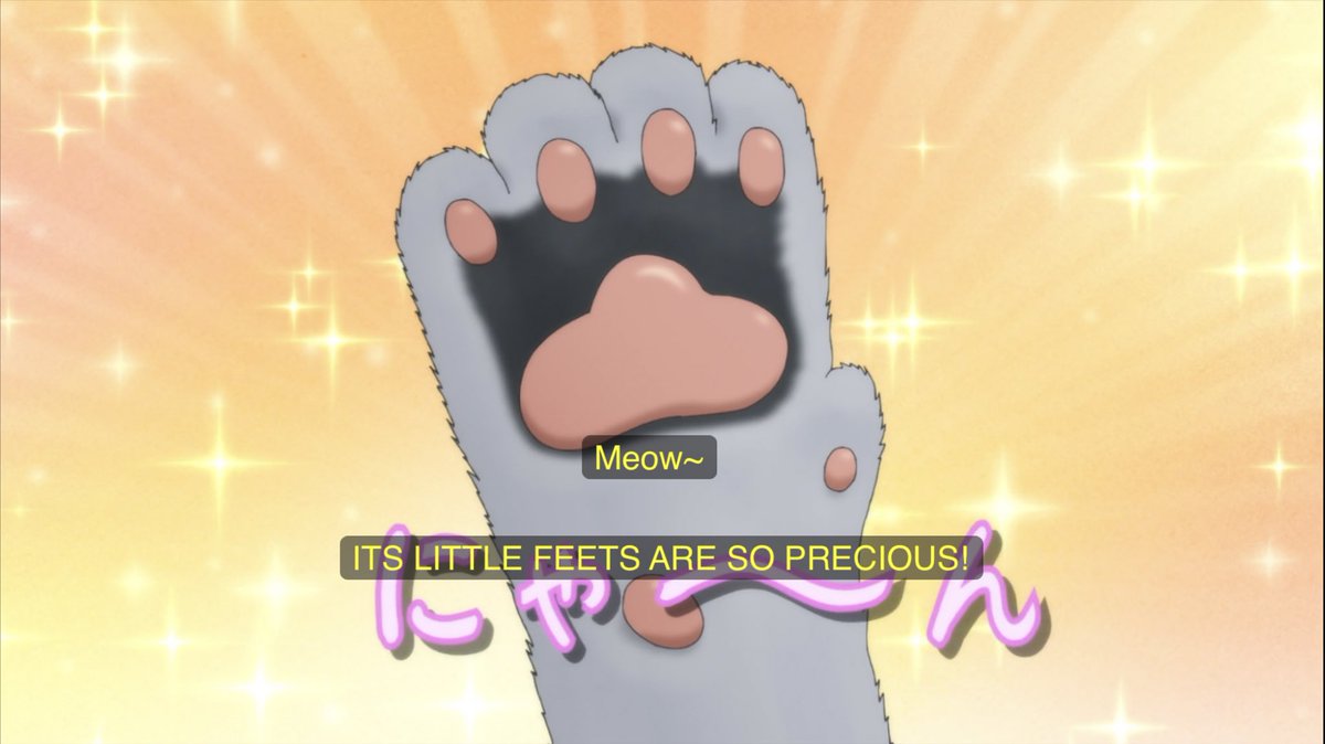 Ms5000Watts's tweet photo. Pack it up boys, anime of the year has arrived lmao. 

It’s called Too Cute Crisis and it’s about an alien girl who comes to earth to see if there’s anything worth saving here and that’s when she discovers all of earths cute animals. Streaming on HIDIVE https://t.co/9549v4gaYS