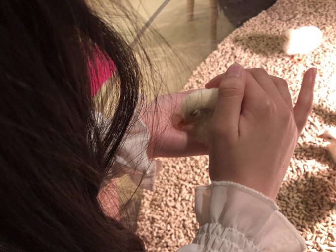 Twitterのコスプレ画像3