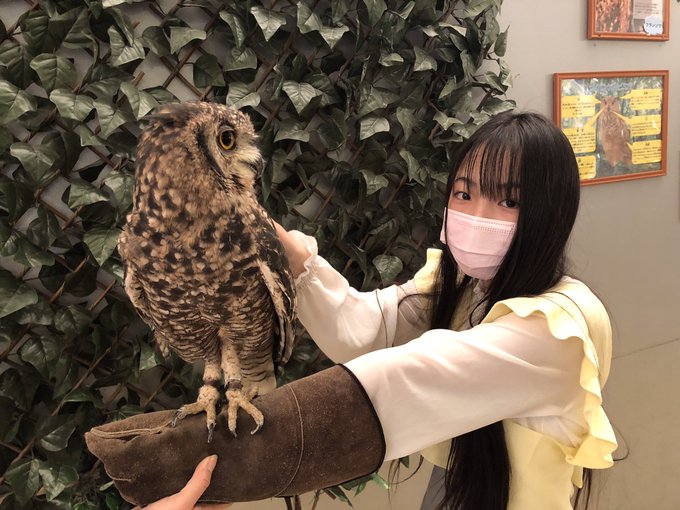 Twitterのコスプレ画像2