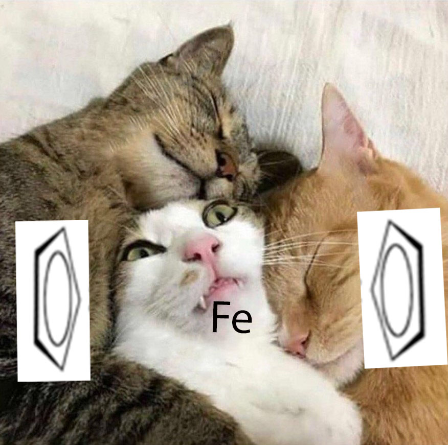 60% Water By Mass tweet media