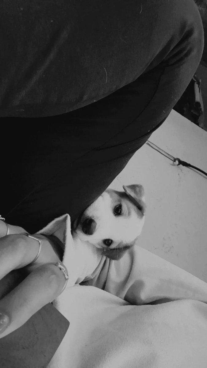 Apolo 🥺❤️‍🩹