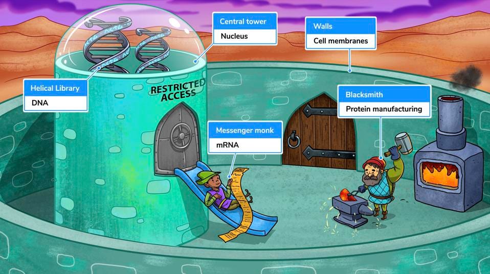 Morgan Cheatham, MD tweet media