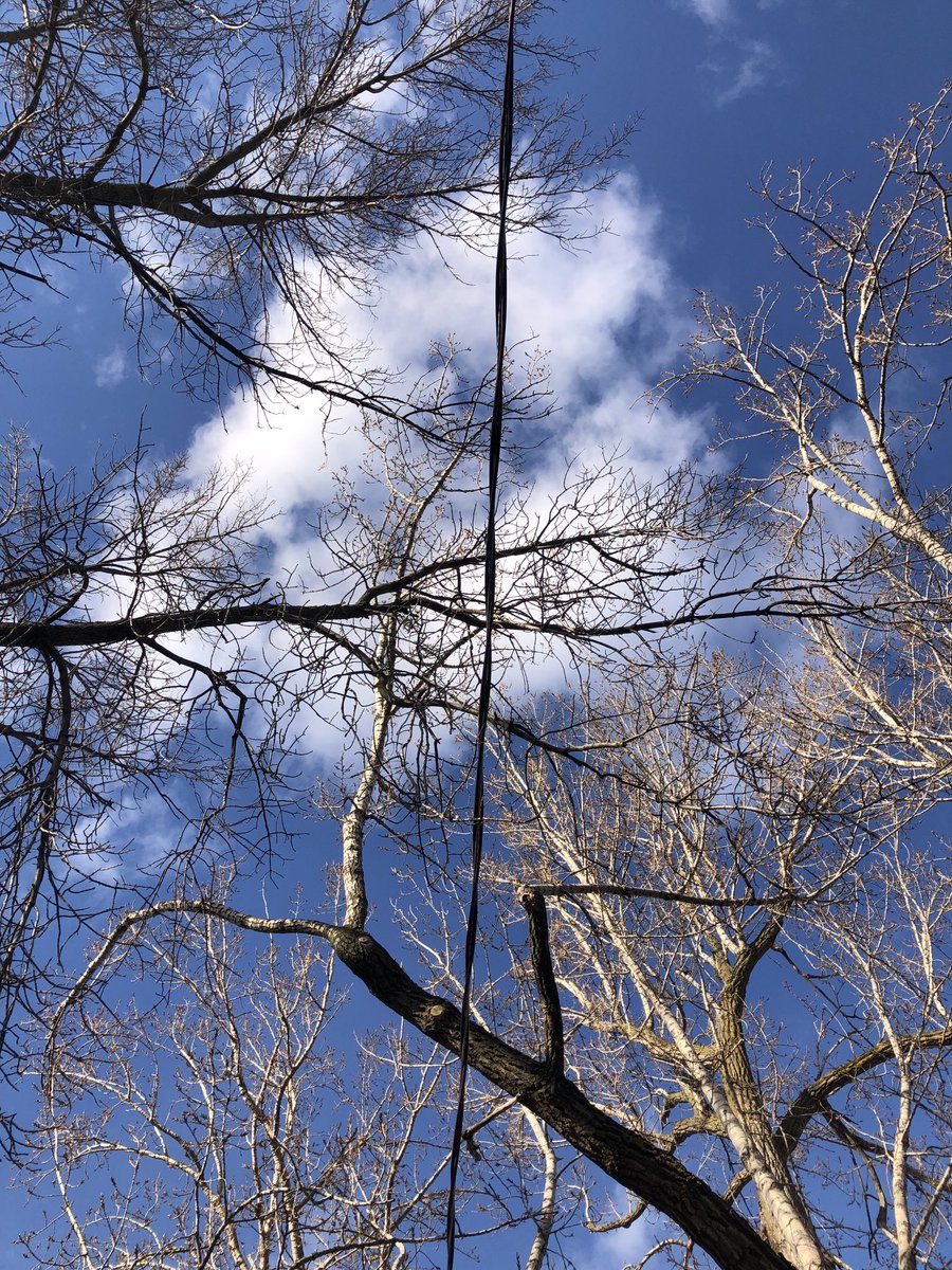 Supergopher's tweet image. J’aimerais bien entendre un expert sur les pratiques d’émondages à Montréal. Un incendie a débuté dans le premier arbre mercredi soir et les pompiers ont dû intervenir. Est-ce c’est normal qu’autant de branches demeurent au-dessus des fils électriques?