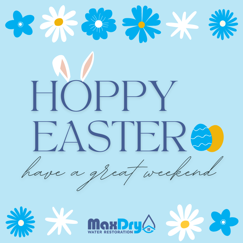 MaxDry_atl's tweet photo. Sharing a little Easter humor with you this Friday!

What do you call the Easter Bunny after Easter? Eggs-hausted! 😂

We hope you enjoy your time with the family this weekend. May you have the greatest feelings of gratitude and love this Easter Sunday. 💙
#happyeaster #maxdry https://t.co/RZWLPFy3Ht