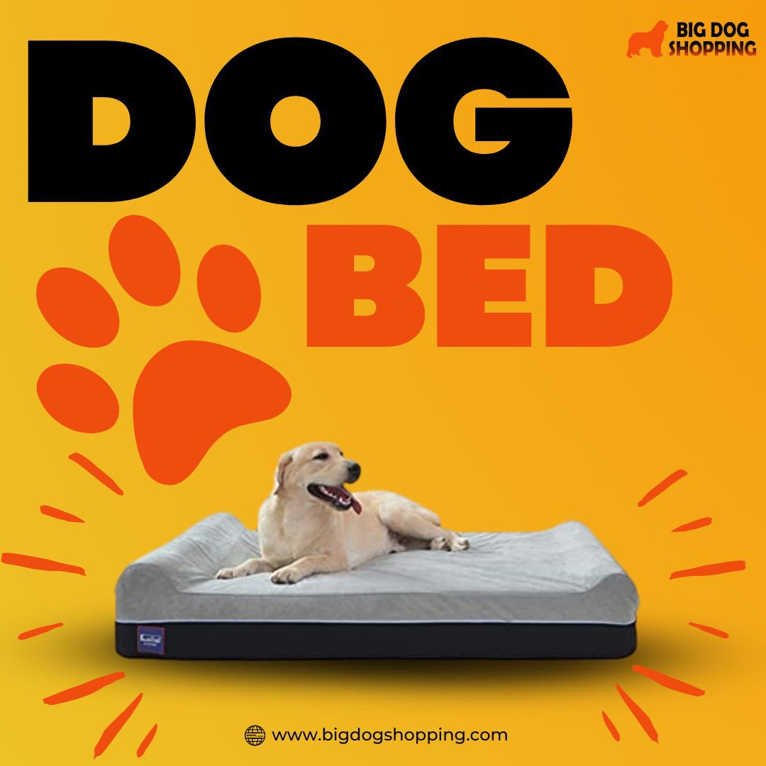 BigDogShopping's tweet photo. 👉🏻 Order yours now!

🌐 https://t.co/hYqCRbNG7w
.
.
.
#DogBed #PuppyBed #PetBed #FurBabyBed #CozyBed #ComfyBed #SleepyPup #DogNap #DogRest #DogSnooze #DogDreams #PawfectBed #SnuggleSpot #FurryFriendsBed #doglovers #furryfriends #dogessentials #dogshop #dogonlineshop https://t.co/UKLd5khY8n
