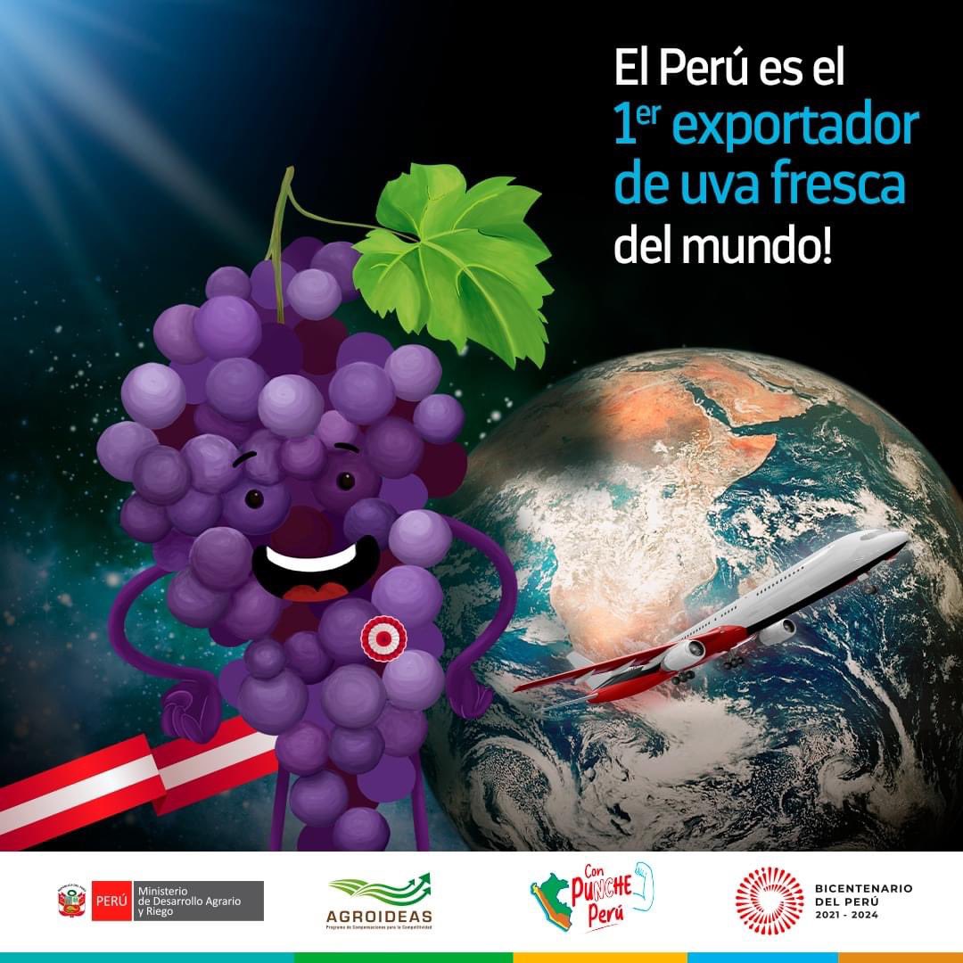 Las exportaciones de uva fresca superó los US$ 1300 millones y hemos logrado posicionarnos como el país que más exporta esta fruta. 🙂

¡Somos líderes mundiales! 🍇🌎

.
..

#aduanas #aduanasycomercioexterior #logística #logistic #exportacion #importaciones #perù #lima #callao