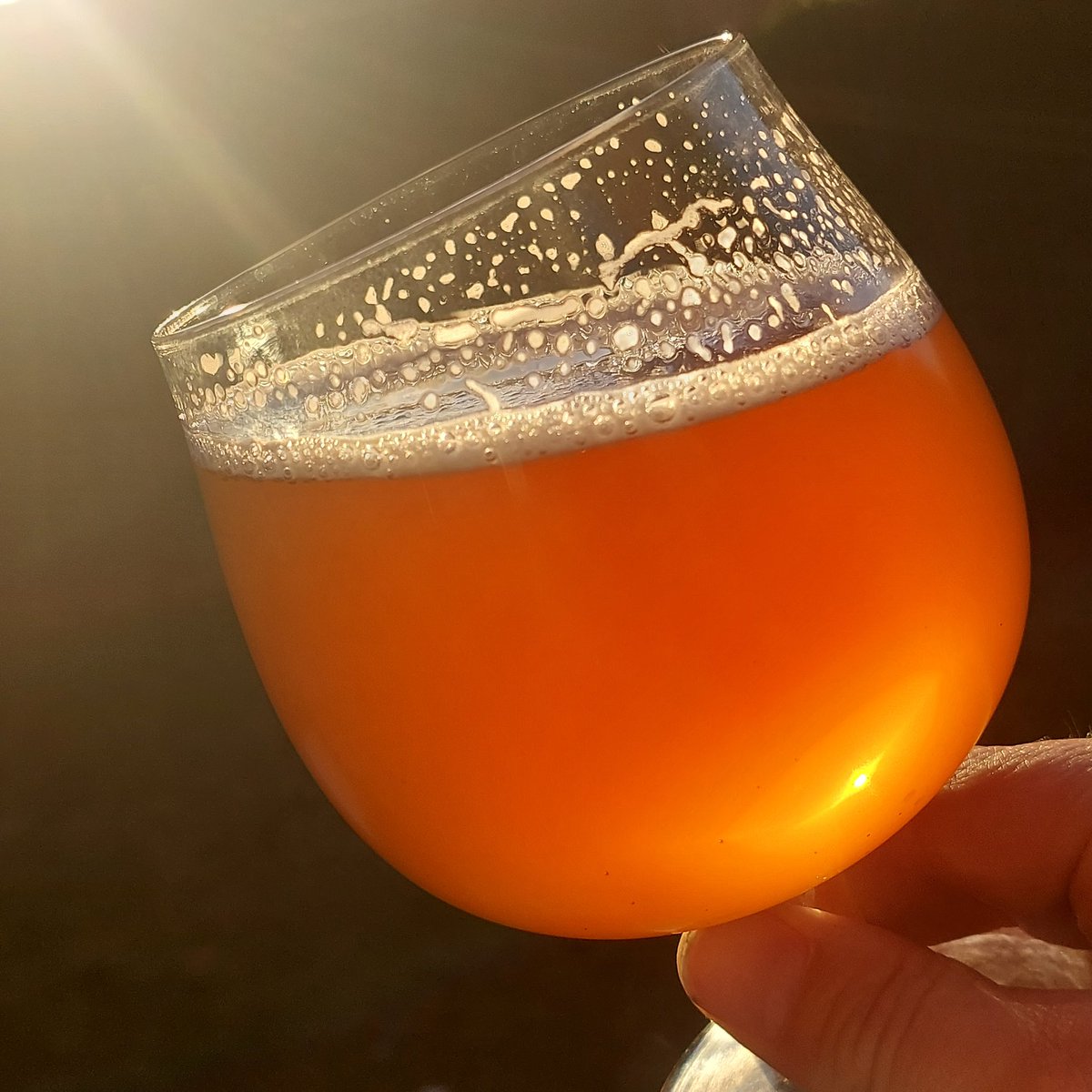 #QualityControl tonight ahead of the delivery of #VaguelySensible &amp; its all good 👍!
 It's a refreshing, 4.2% Session Pale Ale. Generously hopped with #NelsonSauvin, a New Zealand 🇳🇿 hop with a taste and aroma reminiscent of Sauvignon Blanc. On soon at the #wheatsheaf #Bingham