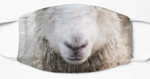 Didtheearthmov1's tweet photo. @CKellyUAP any one who still wears a mask should be given one like this . https://t.co/4ViEQM5Lt3
