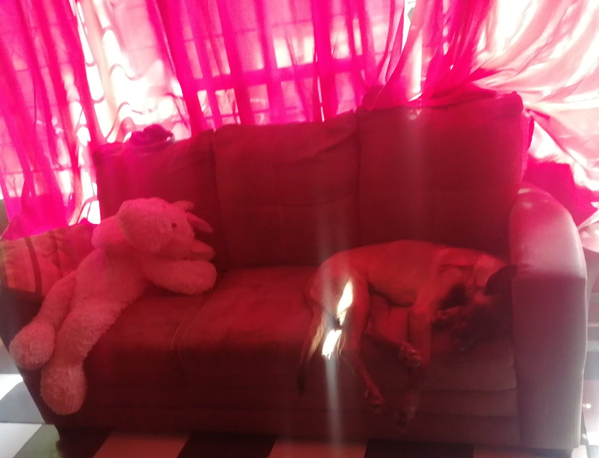 JazS_Kai's tweet image. Y noO se quien esta mas cansadoO..... 🤭🤣
#Peluche #DeltaMu