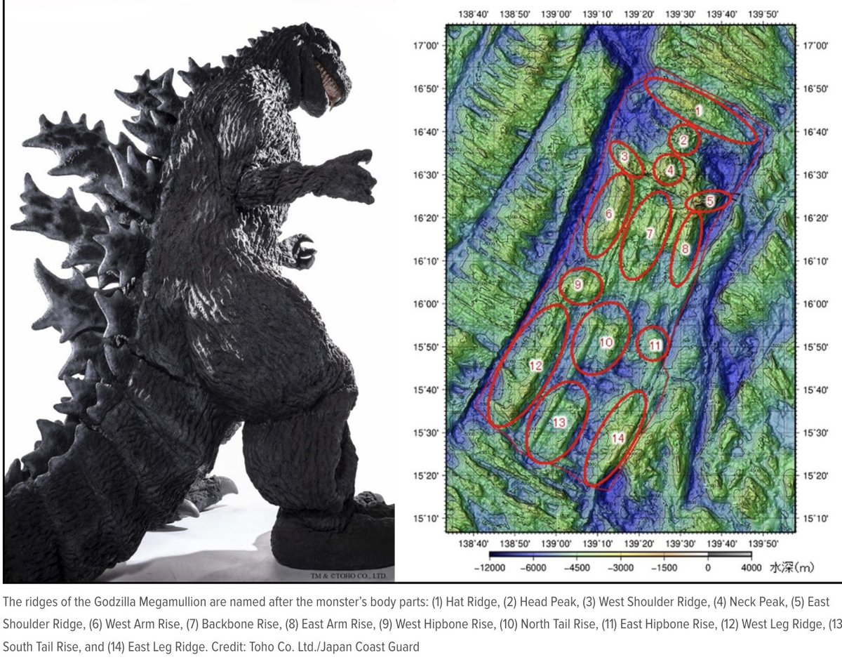 csiddowa tweet media