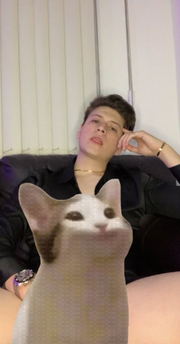 Les gustan los gatos? 😏 https://t.co/SgouNy0lqw https://t.co/6UYWPnUr8P