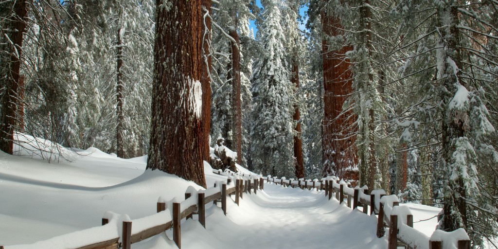 Visit Visalia tweet media