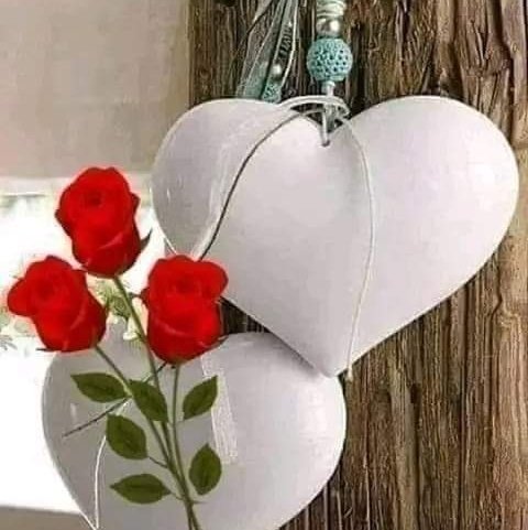 NASIRUD51451213's tweet photo. #NewProfilePic https://t.co/h7xkI2dlQK