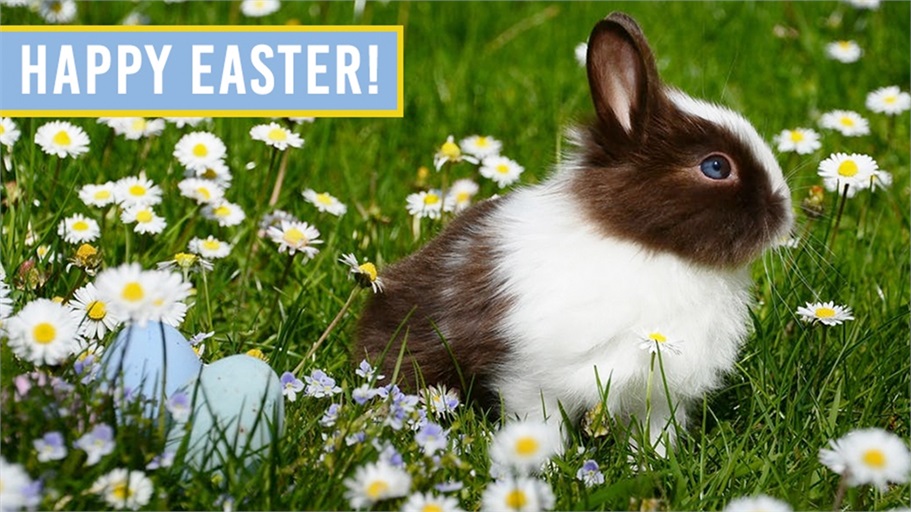 EvolveFinAdv's tweet image. Cantrell Financial Services will be closed Friday, April 7th in observance of Good Friday. Our office will reopen Monday, April 10th. We hope you and your family have a Happy Easter!