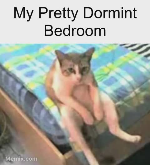 fiazhackshield's tweet image. Here's my sleeping place! Can't wait to test. @Dormint_io  #Dormint_bedroom