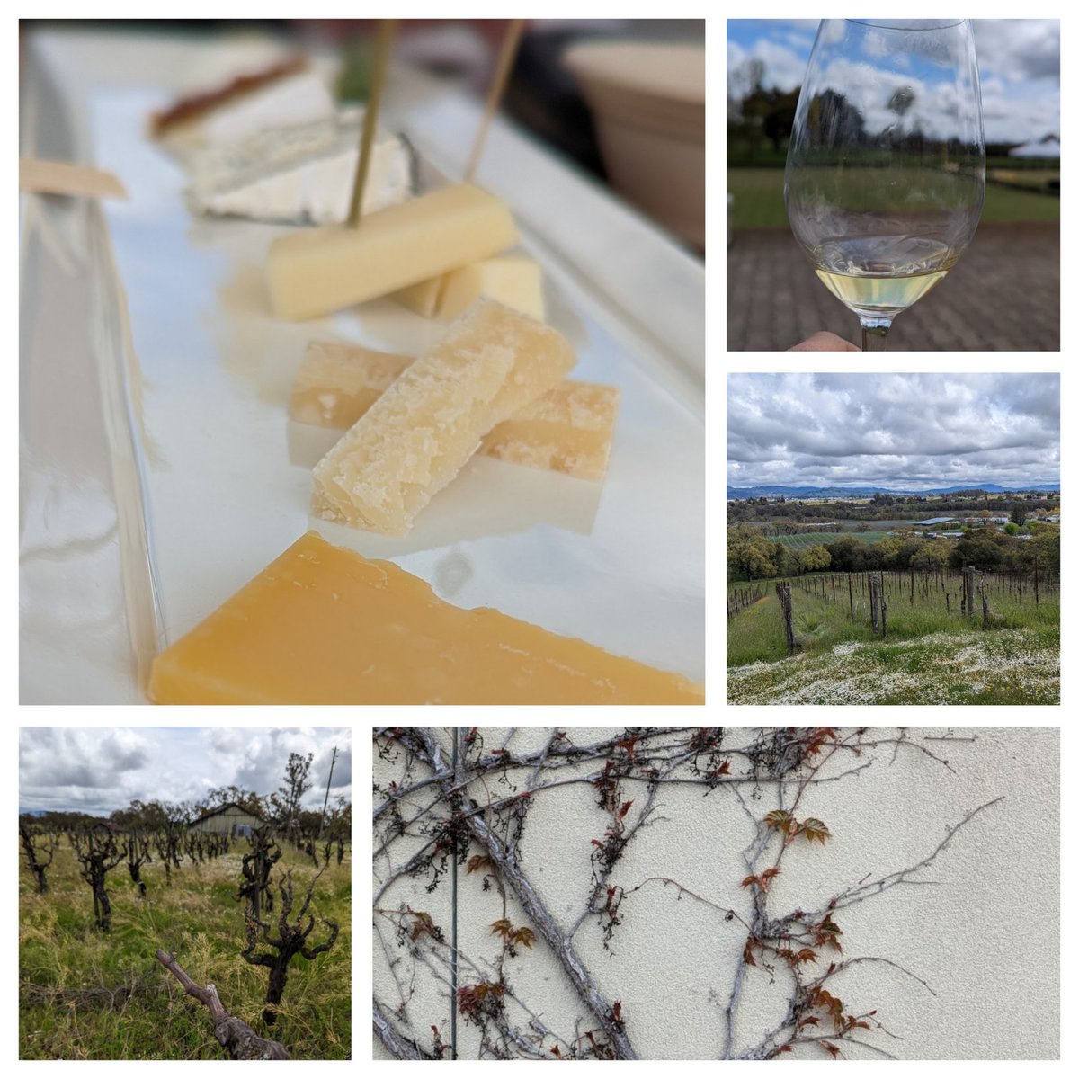 Wine country <a href="/CountyofSonoma/">County of Sonoma</a> #winetasting 🍷 #sogood #tasty #GoodFriday2023