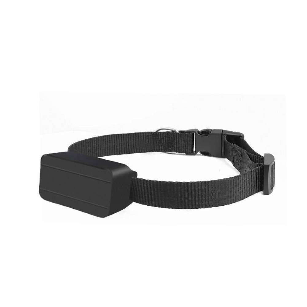 McPets1's tweet photo. Do you like our Mini GPS Tracker for Pets? 📢Share with friends who would LOVE it too!😍😍 $SALEPRICE%
xoxo McPets
 #puppylove #puppies #instacat #instagood https://t.co/BfRCRk8OP5