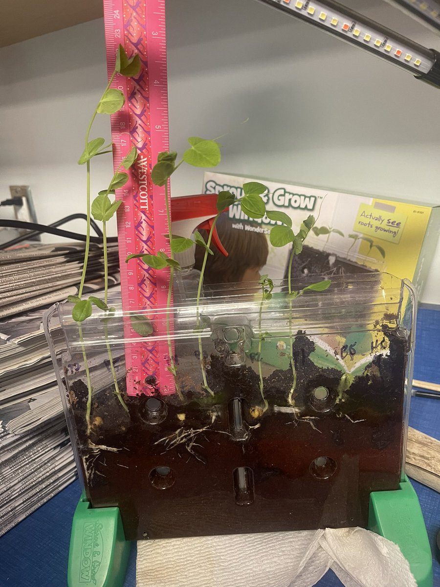 AlkeshOne tweet media