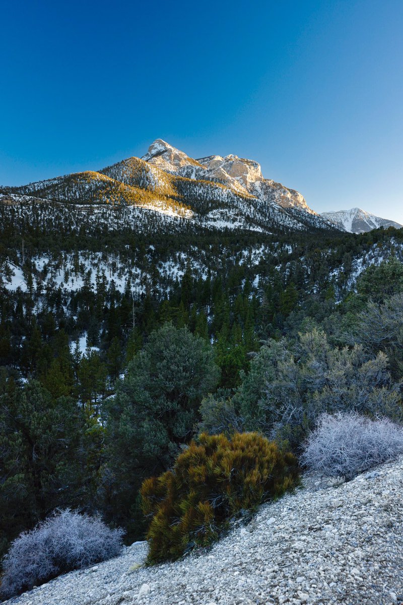 minnmatt's tweet photo. Vegas landscape photography adventure. #photography #nevada #mtcharlston #canon #canonr5 #rf2870f2 https://t.co/cN0CFZJxYX