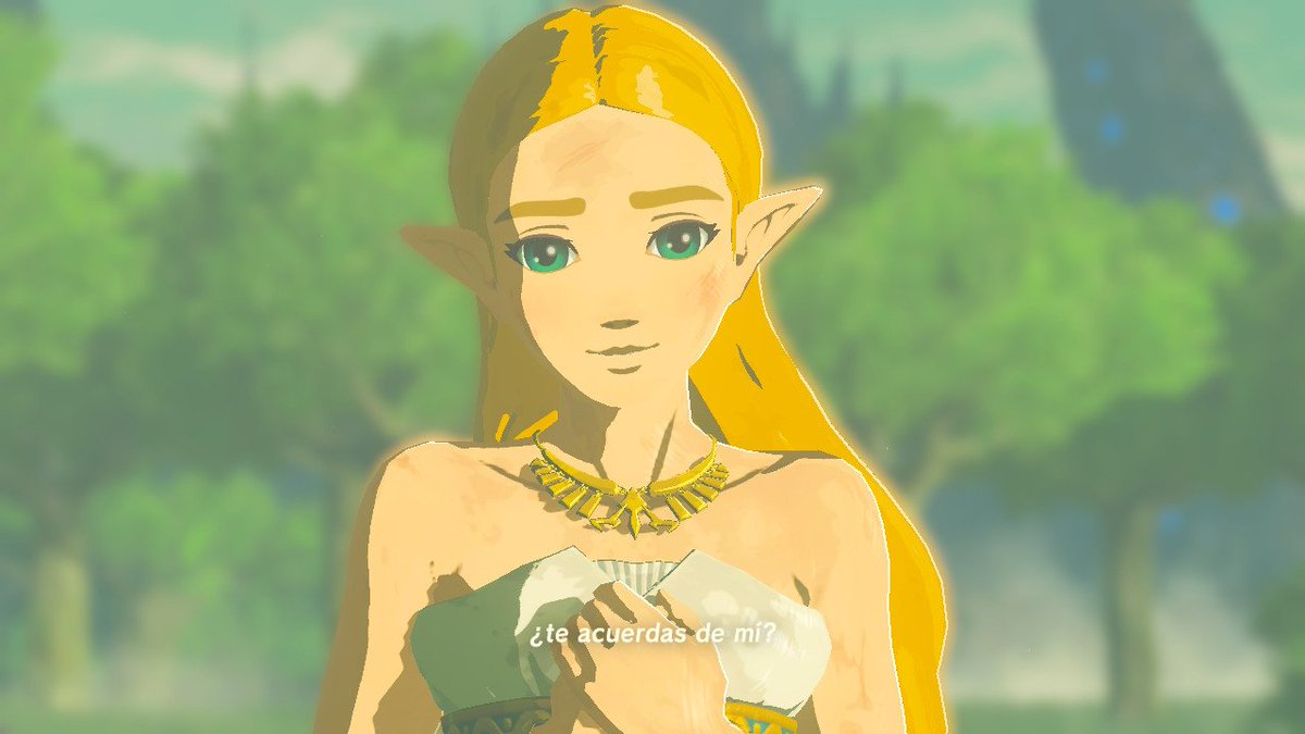 adrulup's tweet image. Llegué al final de #BotW y me siento como vacía. De paso casi me pongo a llorar cuando esa mujer pregunta eso🥹