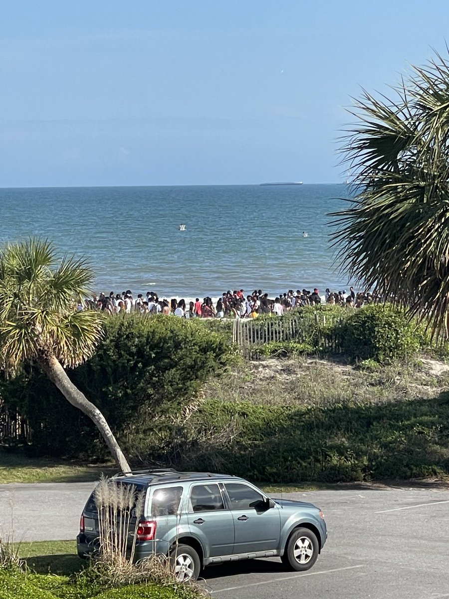 JessicaGick's tweet photo. #shooting #isleofpalms https://t.co/4yImaX0M25
