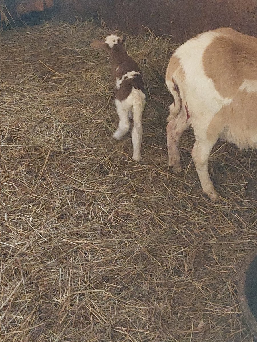 First one of the spring. Gonna be busy next couple weeks 👍