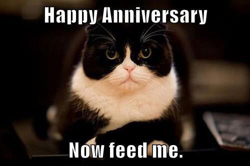 Neilfan12's tweet image. 🐣🗓🥳 #Twitter #Twitterversary 🐱 #Irritated #Cat 🥳🗓🐣