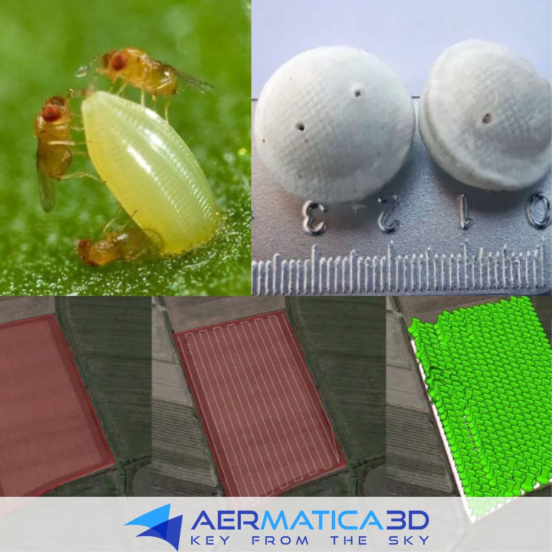 Agricoltura biologica e lotta alla piralide del maison Aermatica3D e Koppert 🌽 Visita aermatica.com

Koppert Italia Aermatica3D 
#piariledelmais #UAV #drone #integrazione #agricolturabiologica  #agricolturadiprecisione #distribuzionecapsule #insettiutili