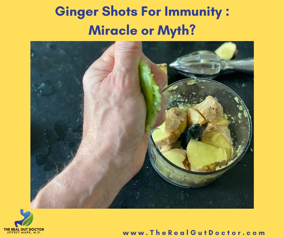 Ginger is a popular root used for nausea, vomiting, inflammation and pain #gut #guthealth #gingershots #nausea #vomiting #antiinflamatory #pain  #IBD #IBS #GERD #crohns #SIBO #diet #food #healthylifestyle #healthyaging #immunity #inflammation #antioxidant  #dr #therealgutdoctor