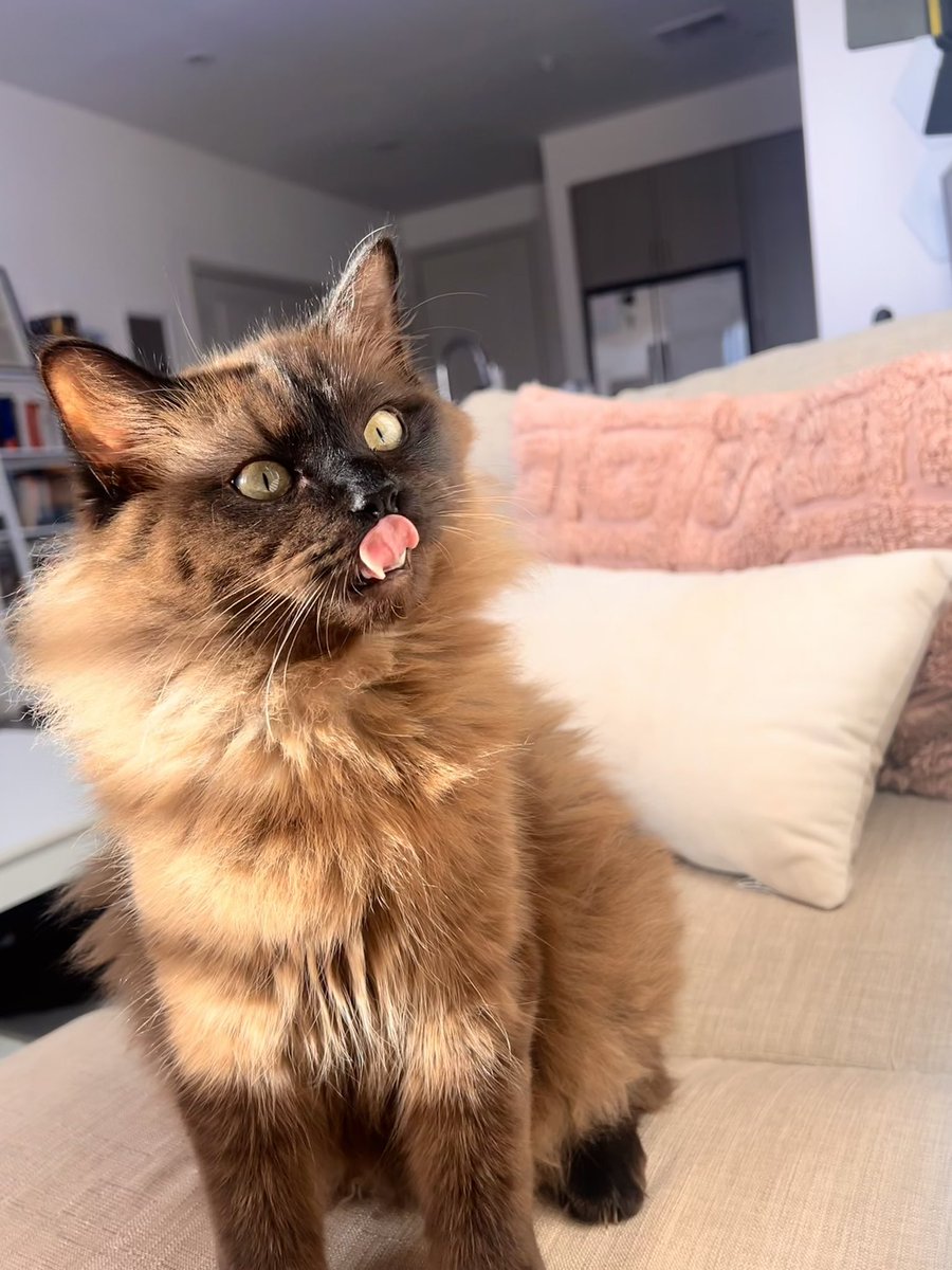 Isabella Riley Moody on Twitter: "Weekend MOOD:"