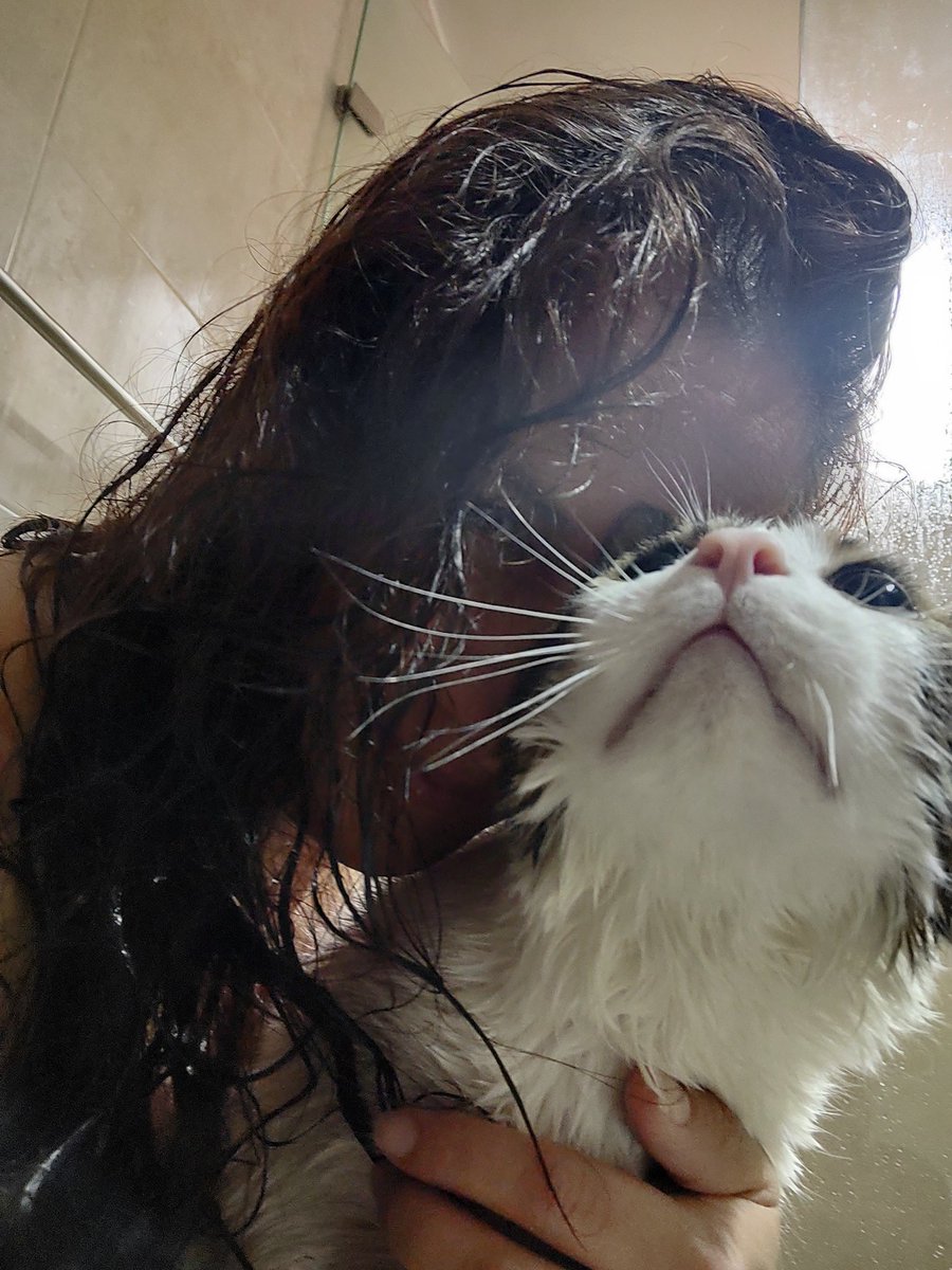 TitoYPacho's tweet photo. Paciently waiting for a shower... Don't let Pacho fool you he was meowing at the top of his lungs....not a happy cat 😾. Hehehe  Tito was just chilling 🤣
#CatsOfTwitter #CatsLover https://t.co/EVuOskaY7H
