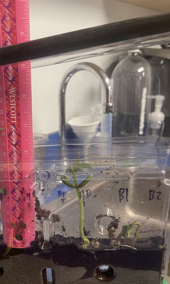 AlkeshOne tweet media