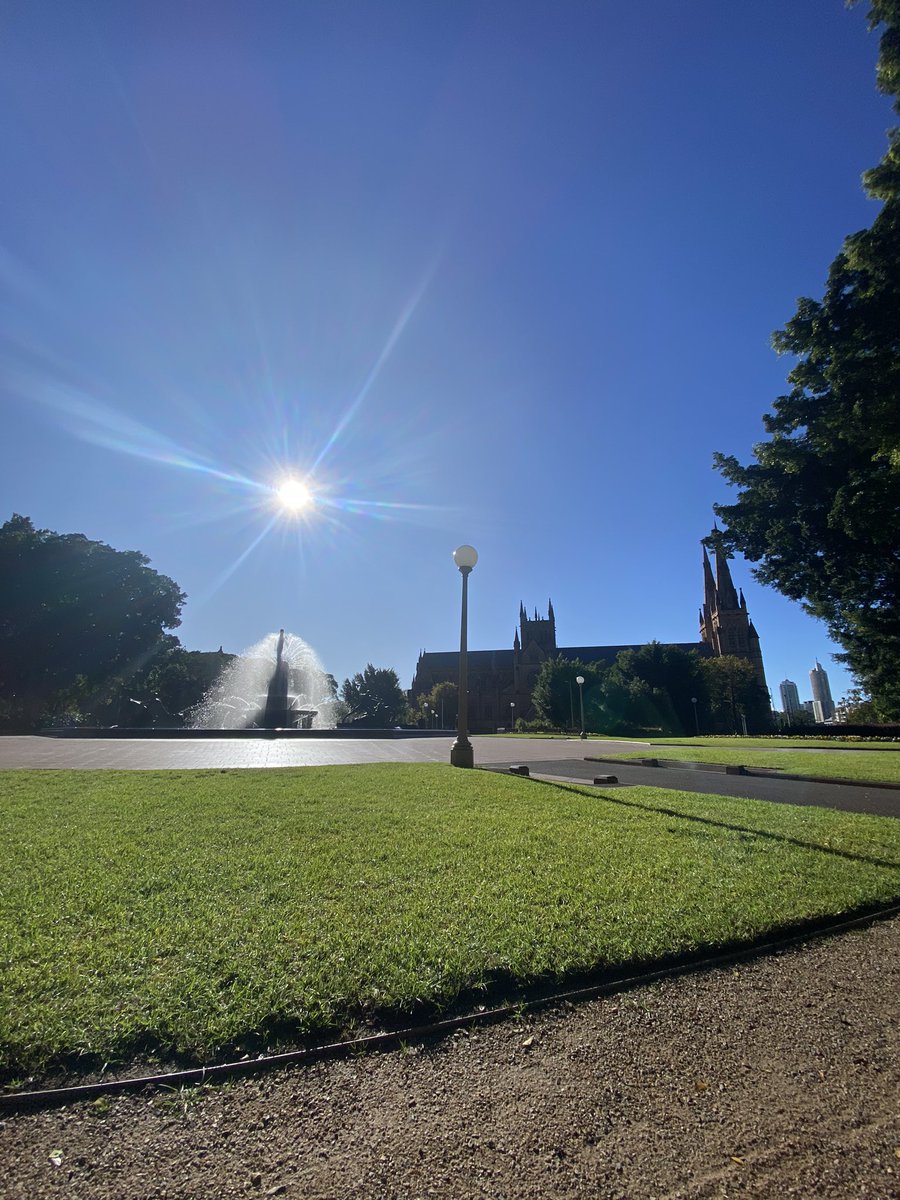 JakeSolx's tweet image. Starting the weekend right with a nice walk in the park 😎☀️