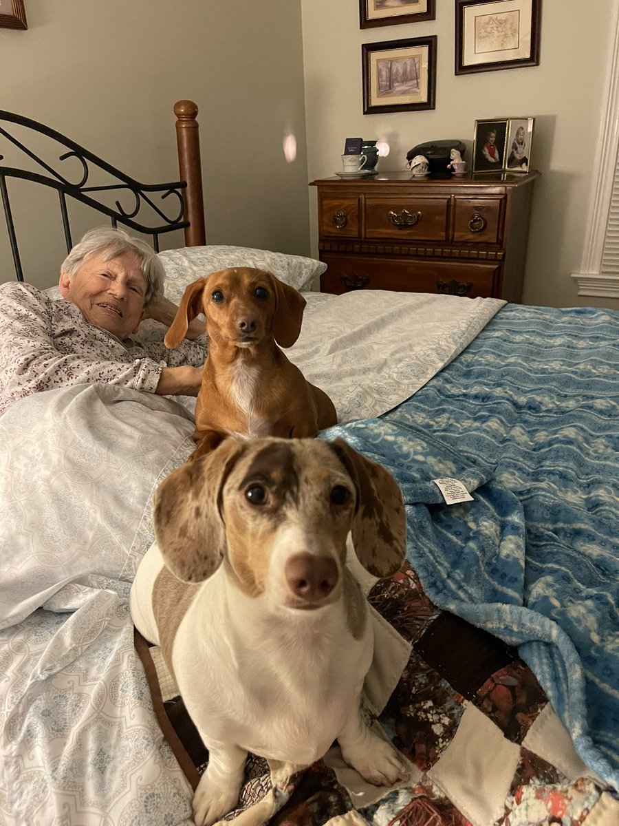 Hi pals, #HappyGoodFriday . 🐾💞 NANA UPDATE: We want to fank you all for da pwayers & love and ask for continued support. 🙏 Nana has been admitted to da hospital, her has sumfin called pneumonia. 🥺 Her needs special doctoring and when she gets back home we will have more…