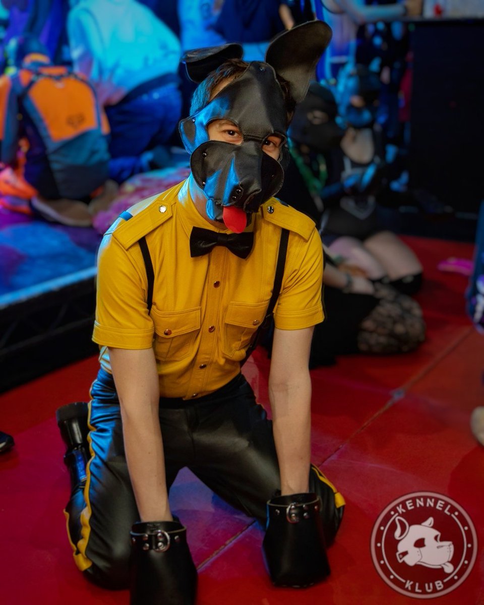 paddedtech's tweet photo. *leather dog noise* https://t.co/xnMDI9FPtw