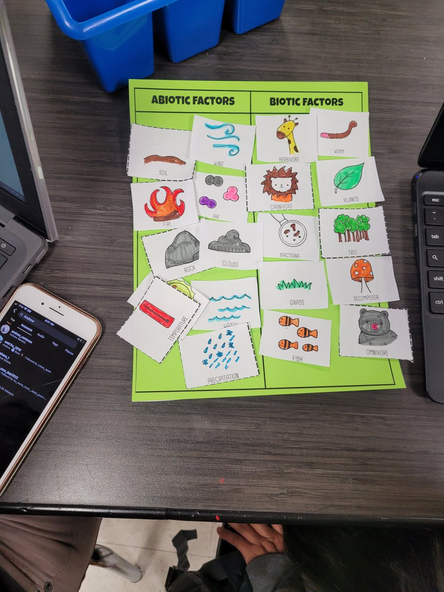 AMSkelkins's tweet photo. Using Scientific Reasoning to categorize Biotic vs Abiotic Factors in Science!🦒🪨 https://t.co/BUk5bdvcNR