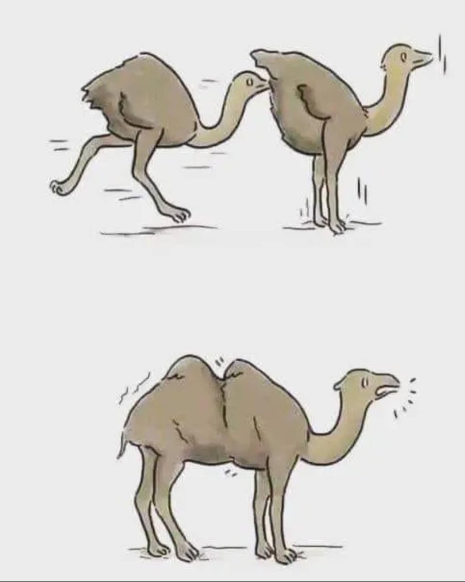 What an Unexpected evolution!