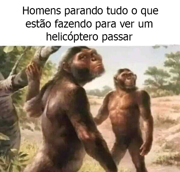 se a terra não é plana como explica o céu reto? (@moreiraviw) on Twitter photo 