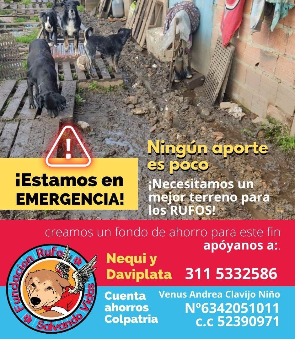 Fund Rufo Salvando V (@funrufosalvando) on Twitter photo 