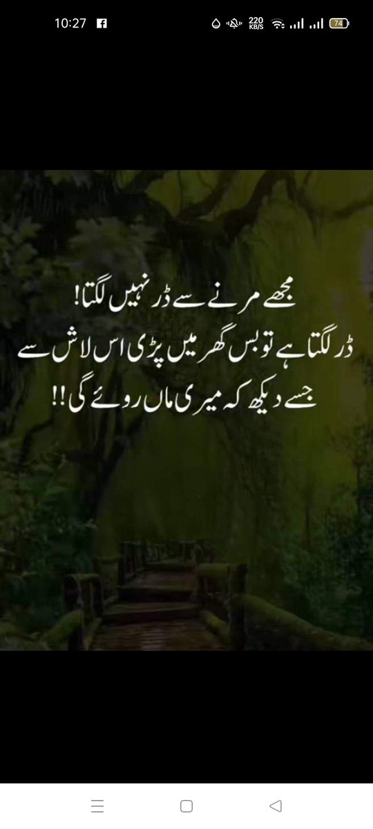 Ayesha Taaj (@ayeshataaj41157) on Twitter photo 