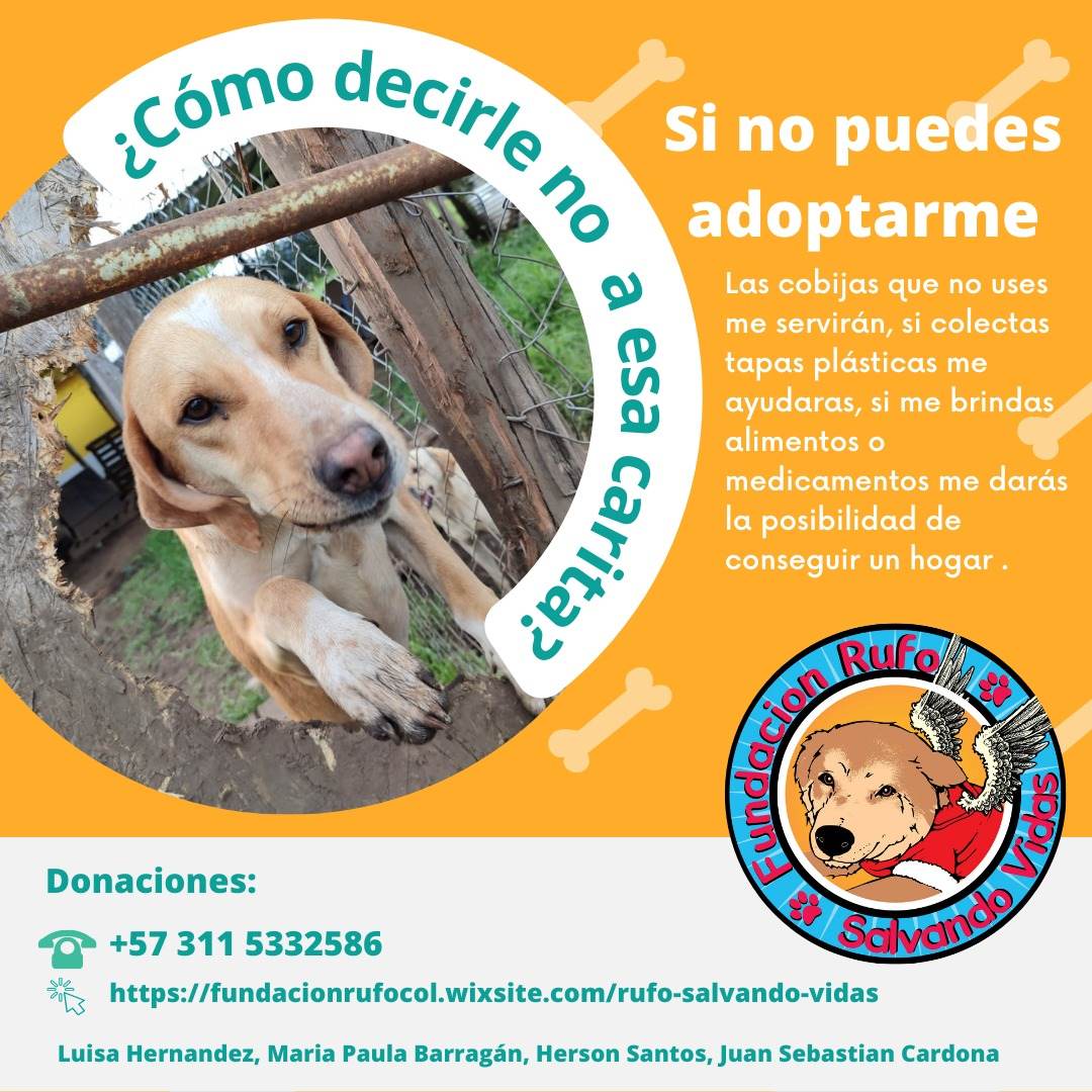 Fund Rufo Salvando V (@funrufosalvando) on Twitter photo 