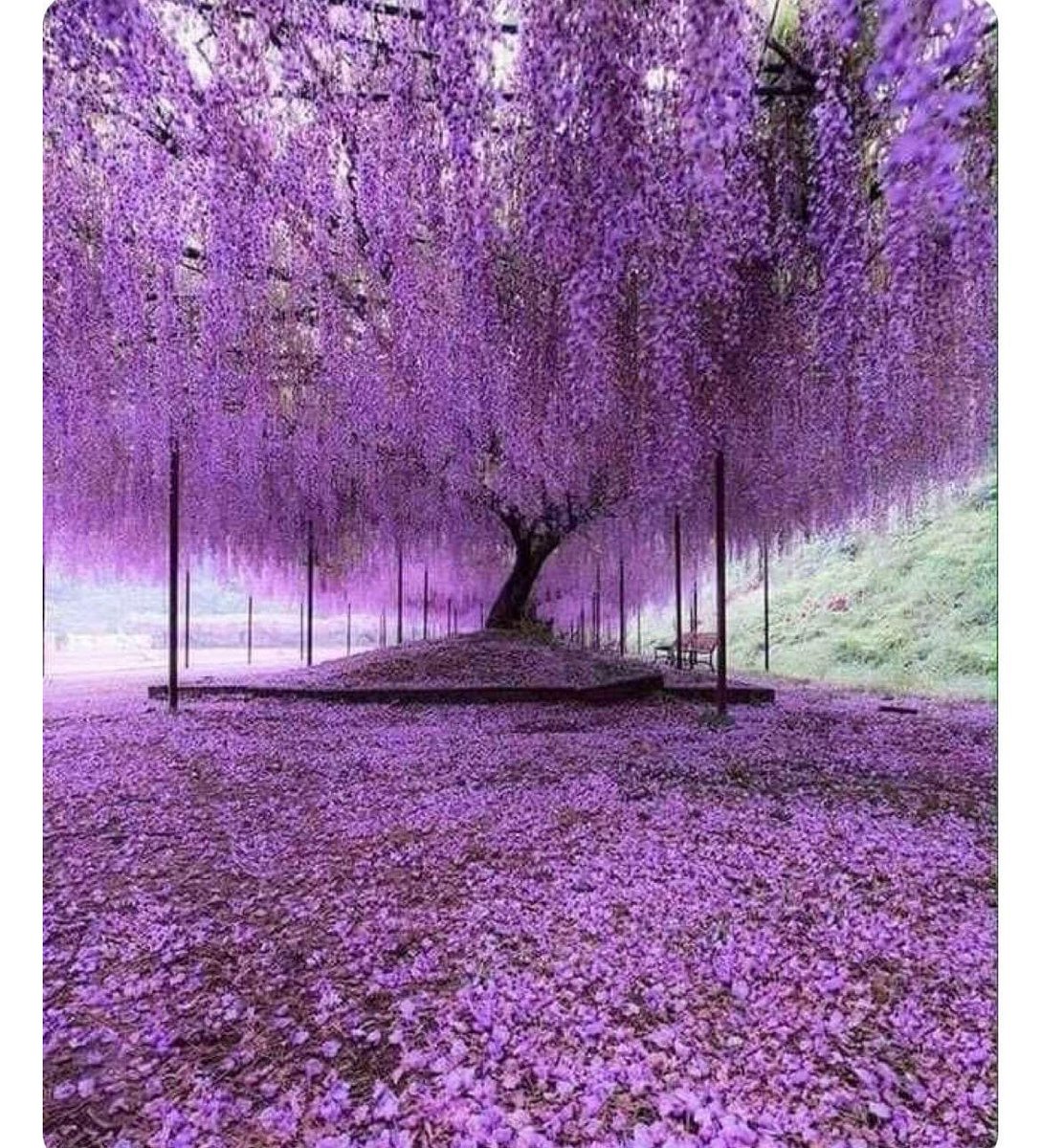 IamToddBentley's tweet photo. Did you know that your greatest days of advancement or before you? God promises that the latter days of your life will greatly increase. God also promises that he has a future and a hope. We can hope too! He is found r is not against us. 😎🔥 🙏#GoodFriday2023 https://t.co/ansPTPgHqh