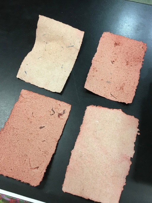 Team P.U.L.P tweet media