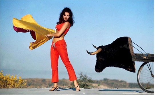 muppoet's tweet image. Connection #slystallone #raquelwelch together again