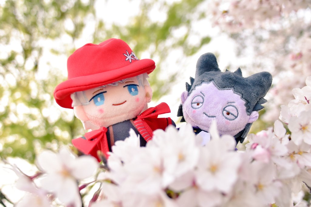 Se5963's tweet photo. 🌸🌸🌸🌸🌸🌸🌸🌸🌸🌸🌸🌸
🌸桜の原っぱでおデート❤💜🌸
🌸🌸🌸🌸🌸🌸🌸🌸🌸🌸🌸🌸

#2023SpringRD https://t.co/zJxcxvIVl3