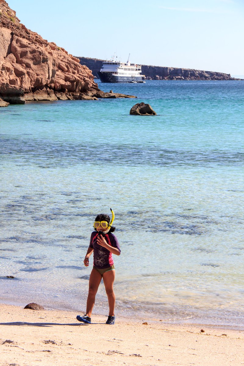 takingthekids's tweet photo. Get off the boat, hop on a skiff, and snorkel in remote areas without the crowds. Small ship cruises are different. They are quaint. With @UnCruise you to see nature and dive right into it.
To discover more adventures, see:
https://t.co/0KgxPKfXLl
#springbreakideas #spons https://t.co/hLZ6AtdVFP