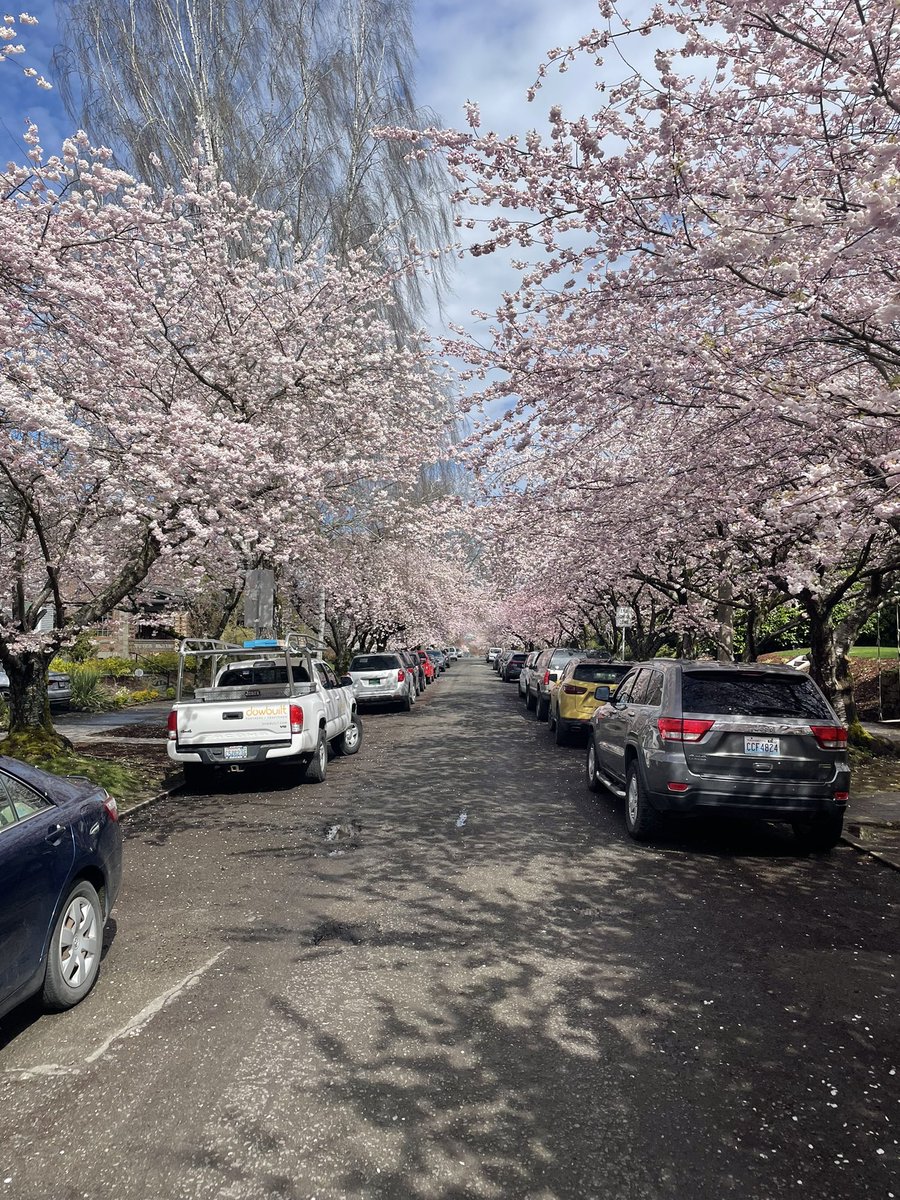 Kempywick's tweet photo. @NWSeasons 21st and Aloha in cap hill is the best! https://t.co/A29f8YhaZJ